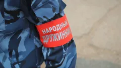 "народна дружина" на ТОТ