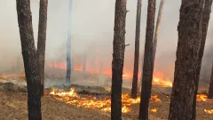 парк "Святі Гори" на Донеччині