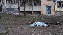 Загиблі, поранені