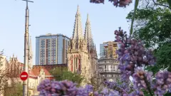 київ 2025 бузок