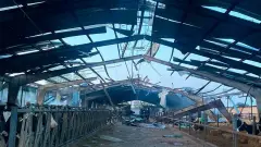 Загинуло 22 корови на харківщині 27 квітня