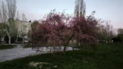 Сіверськодонецьк квітень 2025