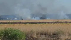 пожежа у степу