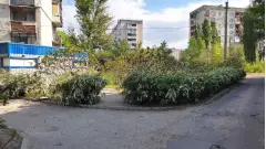 Рубіжне травень 2025