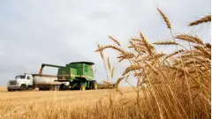 поле урожай пшениця комбайн уборка врожаю робота в полі