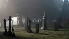 кладовище цвинтар могила пам'ятник поховання