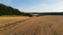 поле земельна ділянка