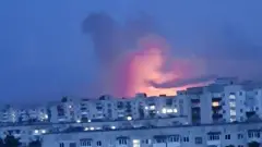 ліс пожежа Сіверськодонецьк