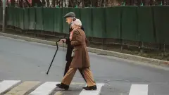 дідусь і бабуся пенсіонери люди похилого віку дорога літній чоловік жінка
