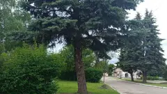Кремінна