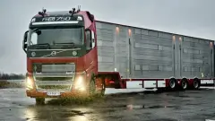 вантажівка Вольво автотранспорт дорога