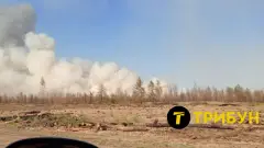 пожежа на Луганщині