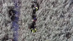 водозази ДСНС хащі Волинь болото тіло