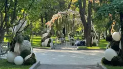 Харків День міста 2025 23 серпня