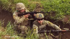 зсу війна військові