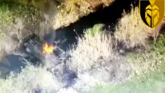 інтернаціональний легіон
