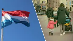 українці в нідерландах біженці