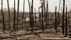 Ямпіль, Донецька область