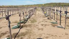 Рубіжне масові поховання 2025 похорон хрест могили могила