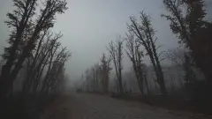 Луганськ 2025
