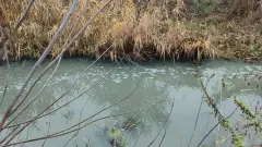 річка біла луганська область