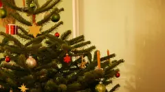 ялинка новий рік свято різдво