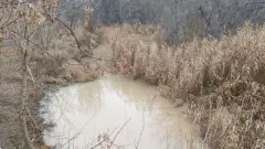 річка вільхівка