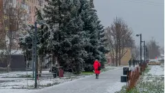 луганськ грудень 2025
