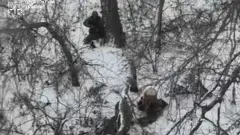 Розстріл українських військовополонених у Покровському районі