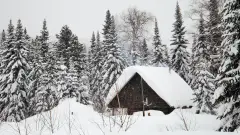сніг зима будинок дім ялинки ліс