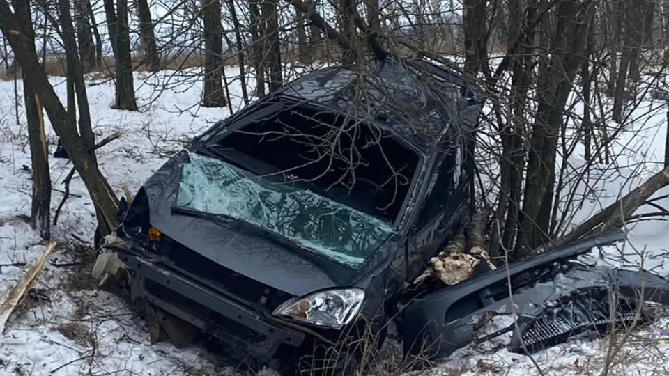 дтп харківщина берестин