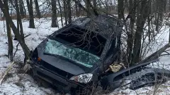 дтп харківщина берестин
