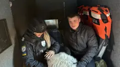 евакуація поліція сумщина білі янголи