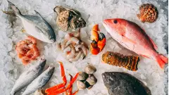морепродукти
