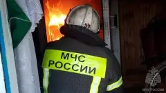 мчс мнс росії пожежа