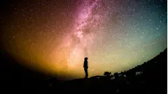 Photo by <a href="https://unsplash.com/@grakozy?utm_source=unsplash&utm_medium=referral&utm_content=creditCopyText">Greg Rakozy</a> on <a href="https://unsplash.com/photos/silhouette-ph