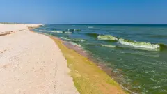 цвітіння води в азовському морі