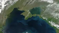 Чорне море