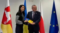 яна литвинова