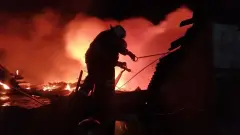 пожежа на Луганщині