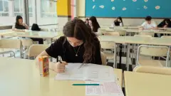 іспит школа екзамен учень школярка дівчина