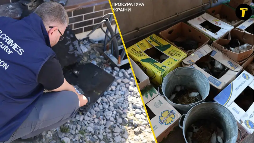 обстріл зоопарку в харкові
