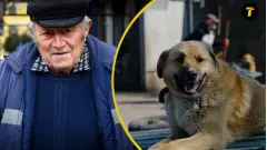 дідусь пенсіонер людина літній чоловік собака пес
