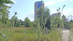 Донецьк 2026