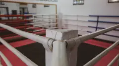 Бокс