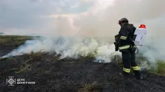 пожежа на донеччині