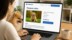 продати собаку онлайн