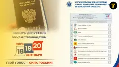 Вибори на окупованих територіях