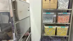 Біопатид
