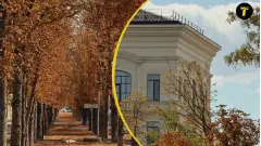 окупований Маріуполь, осінні кадри